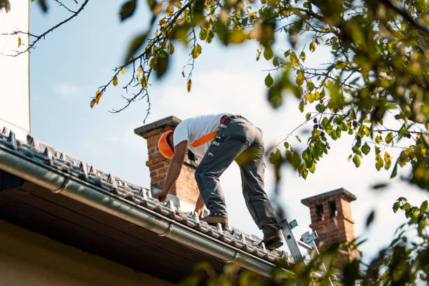 Best New Roof Installation  in Frackville, PA