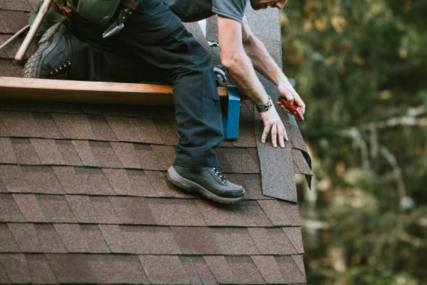 Best Roof Maintenance Services  in Frackville, PA